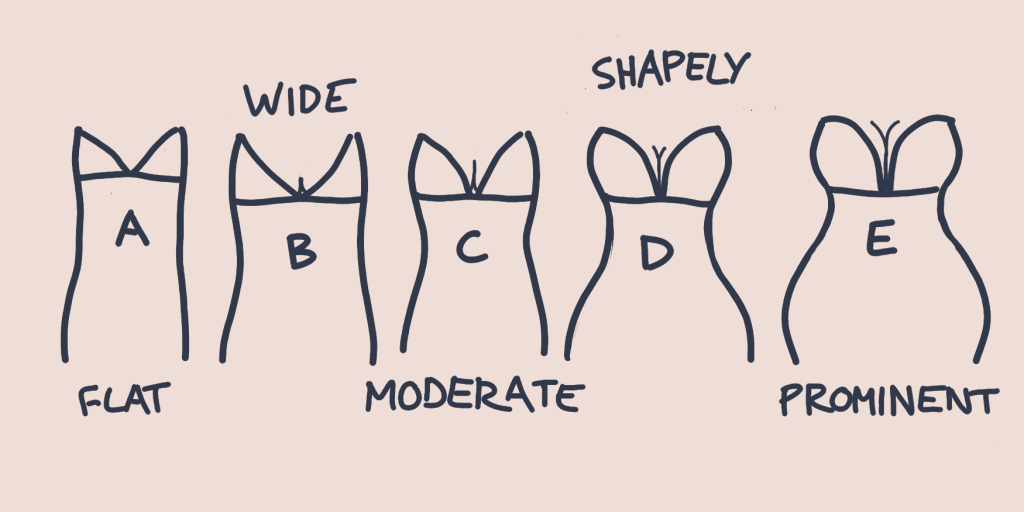 The way we define bust curve needs to be reconsidered (part 2) : r/Kibbe