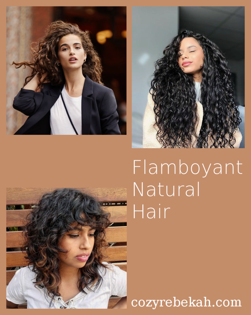 Flamboyant Natural Hair