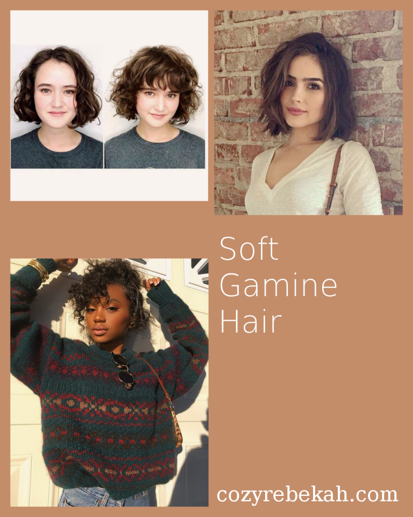 Soft Gamine Hair