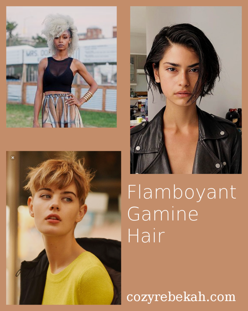 Flamboyant Gamine Hair